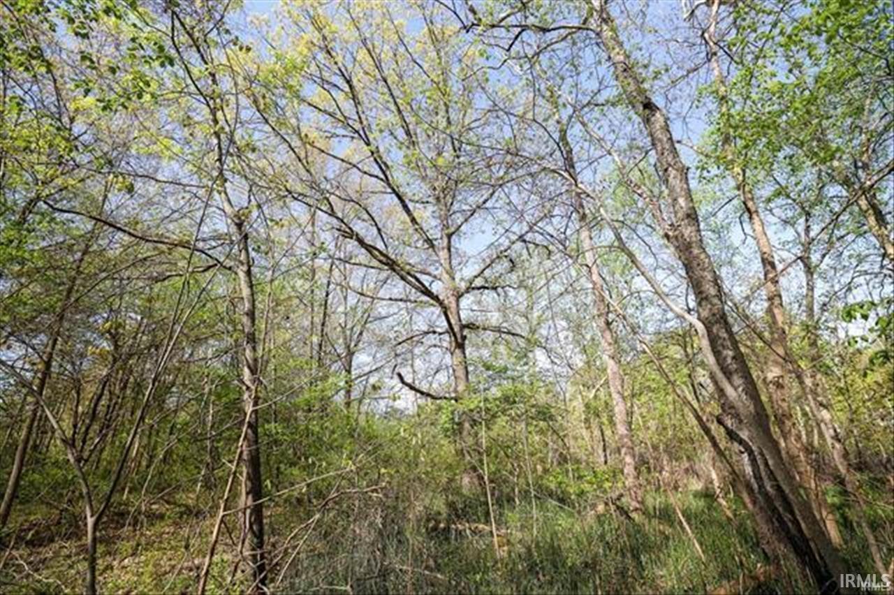 0 Sycamore Bend Rochester, IN 46975 - Photo 5 of 19 Gallery Image 5