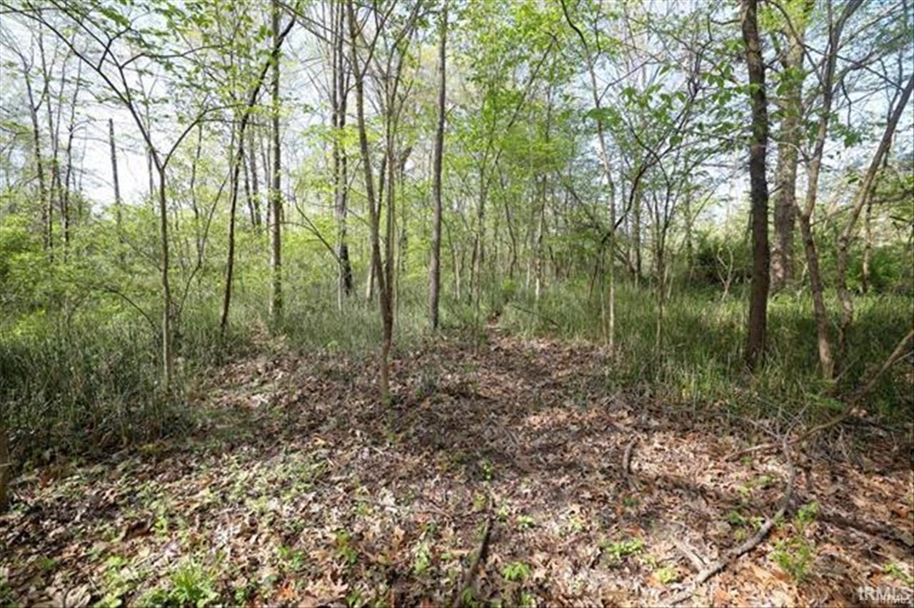 0 Sycamore Bend Rochester, IN 46975 - Photo 6 of 19 Gallery Image 6