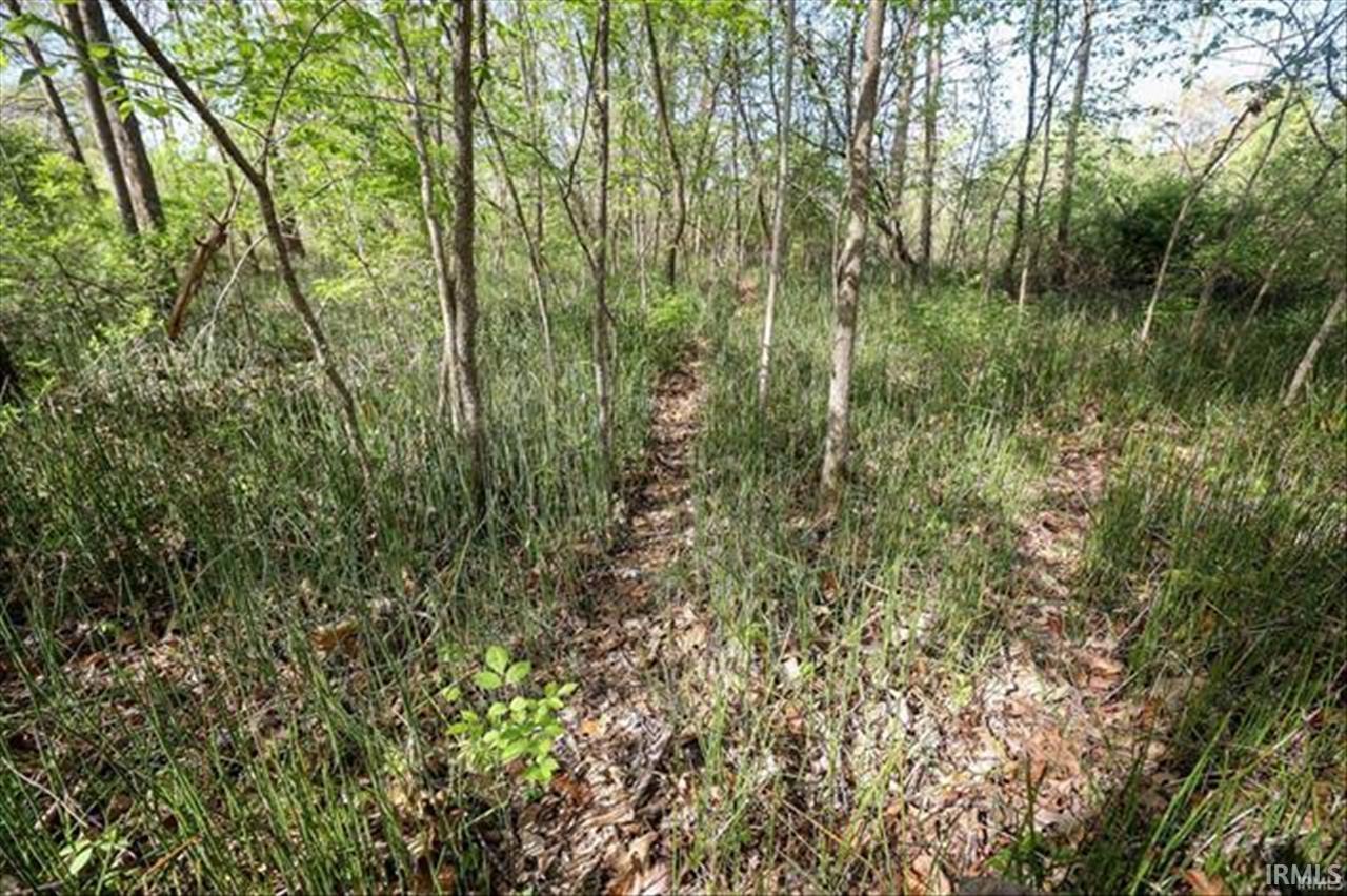 0 Sycamore Bend Rochester, IN 46975 - Photo 7 of 19 Gallery Image 7