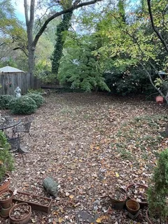 a view of a yard with plants and large trees