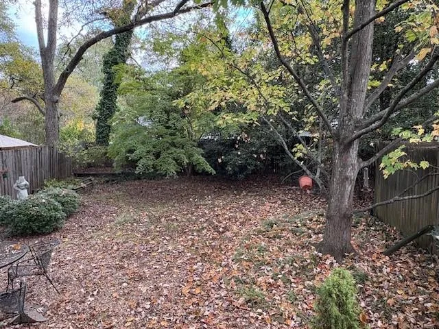 a view of backyard with green space