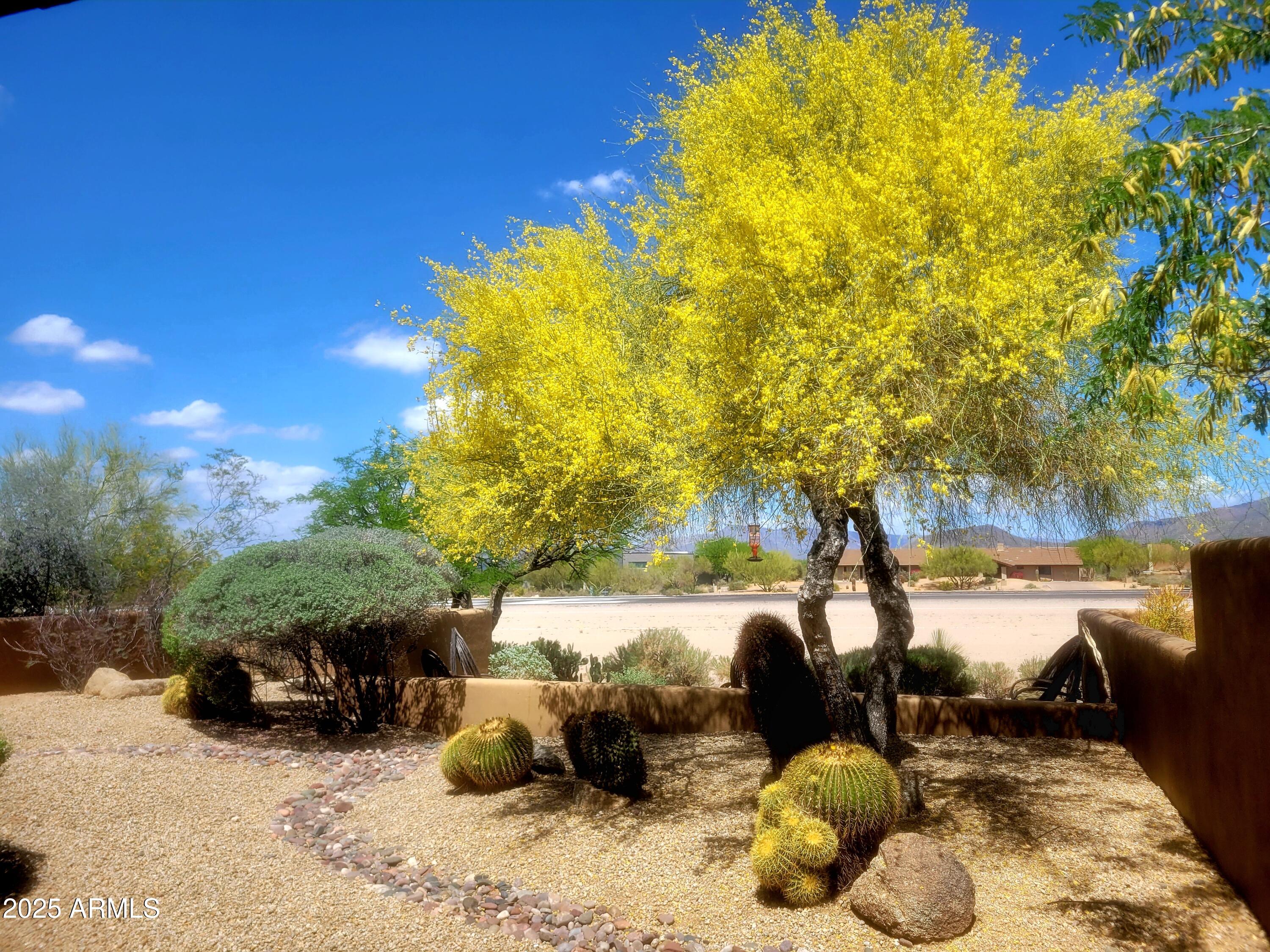 8502 East Cave Creek Road, Unit 10 Carefree, AZ 85377 - Photo 4 of 44 a row of trees and covered with green space