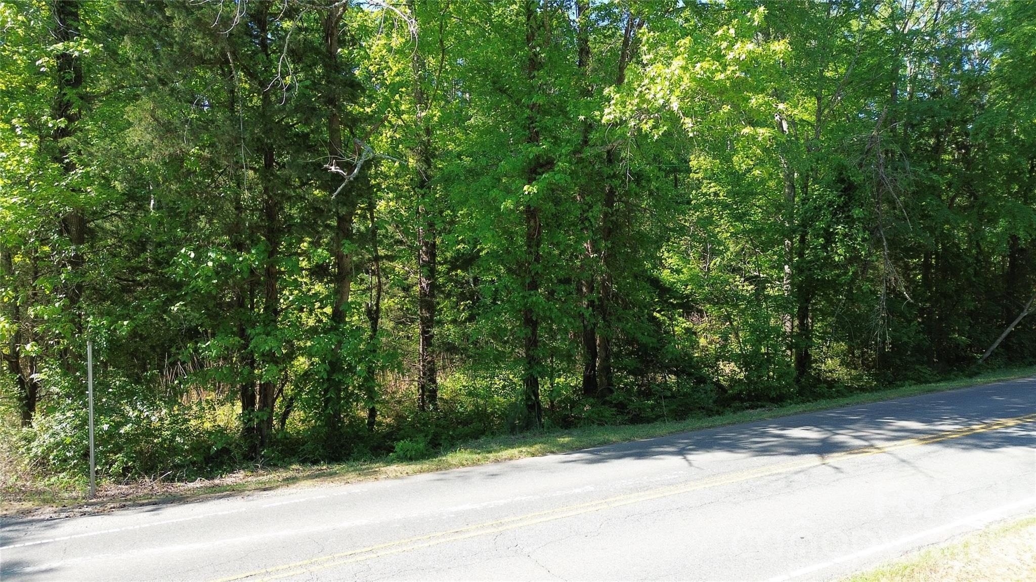 11928 Brief Road Charlotte, NC 28227 - Photo 3 of 7 a view of a yard with plants and large trees