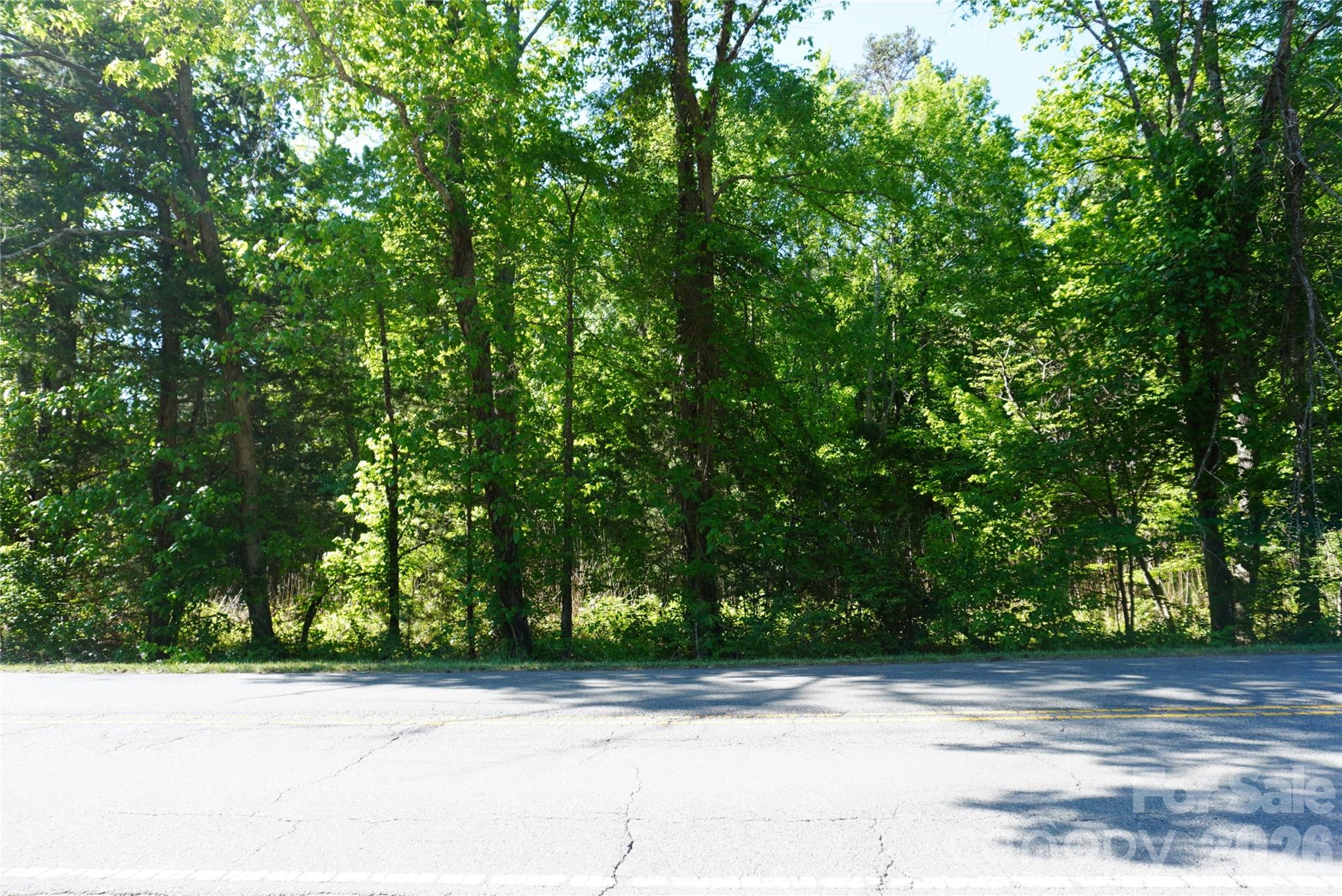 11928 Brief Road Charlotte, NC 28227 - Photo 5 of 7 a view of a yard with plants and trees