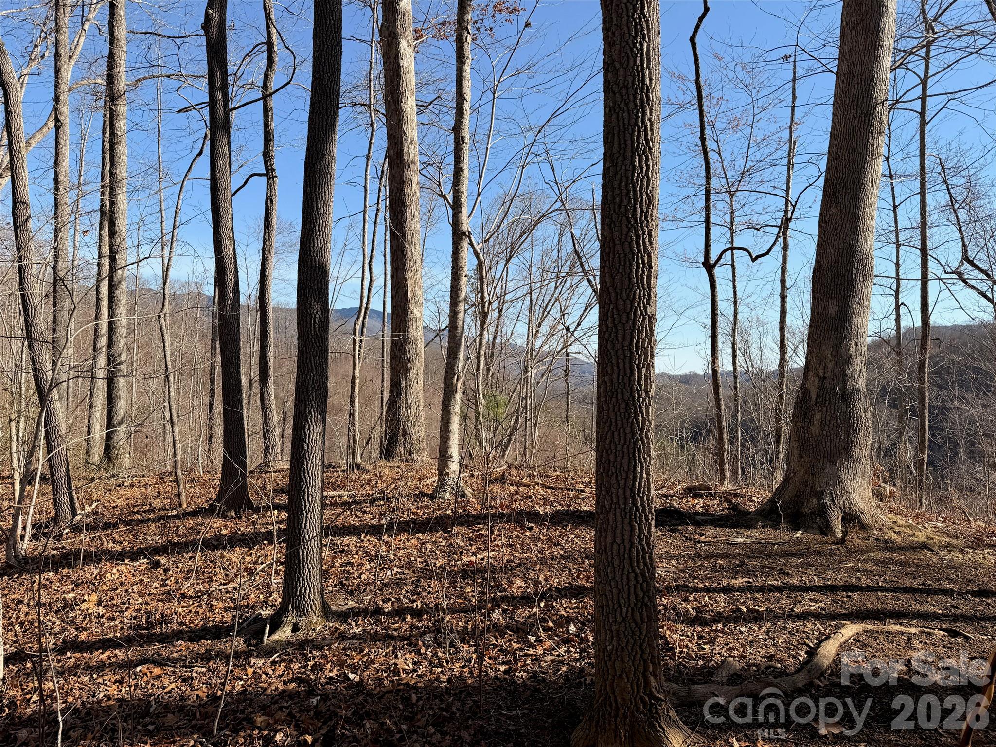 0 Posey Blanton Road Sylva, NC 28779 - Photo 1 of 7 a view of a backyard of the house
