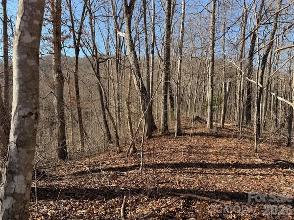 a backyard of a house with lots of trees