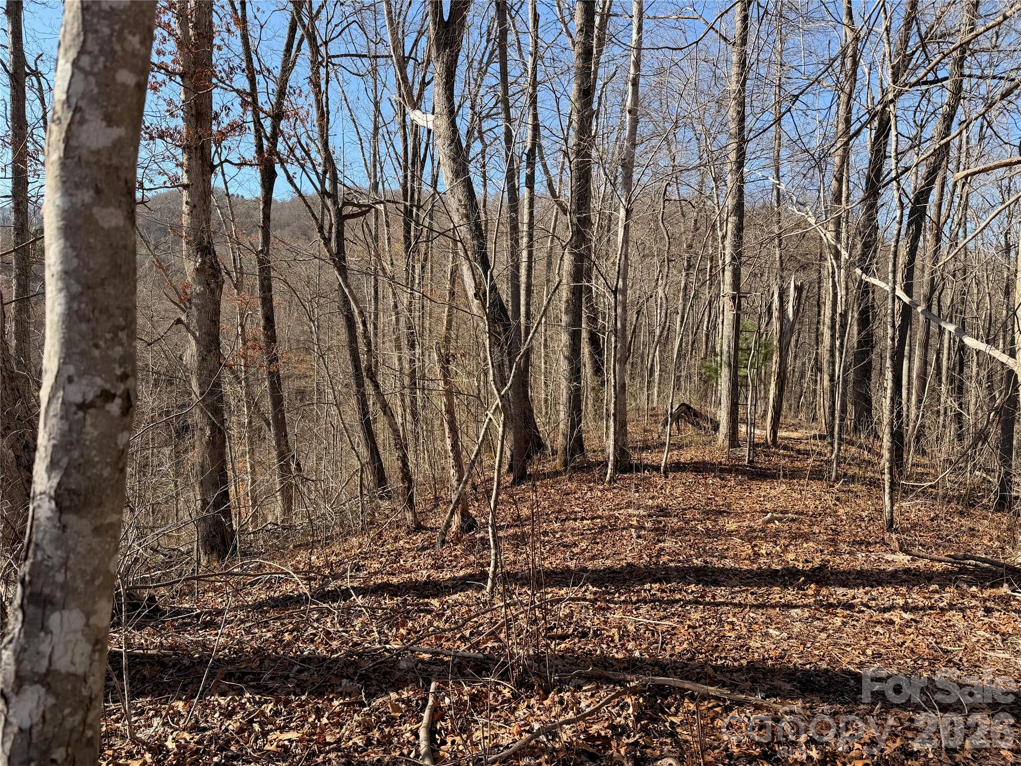 0 Posey Blanton Road Sylva, NC 28779 - Photo 4 of 7 a backyard of a house with lots of trees