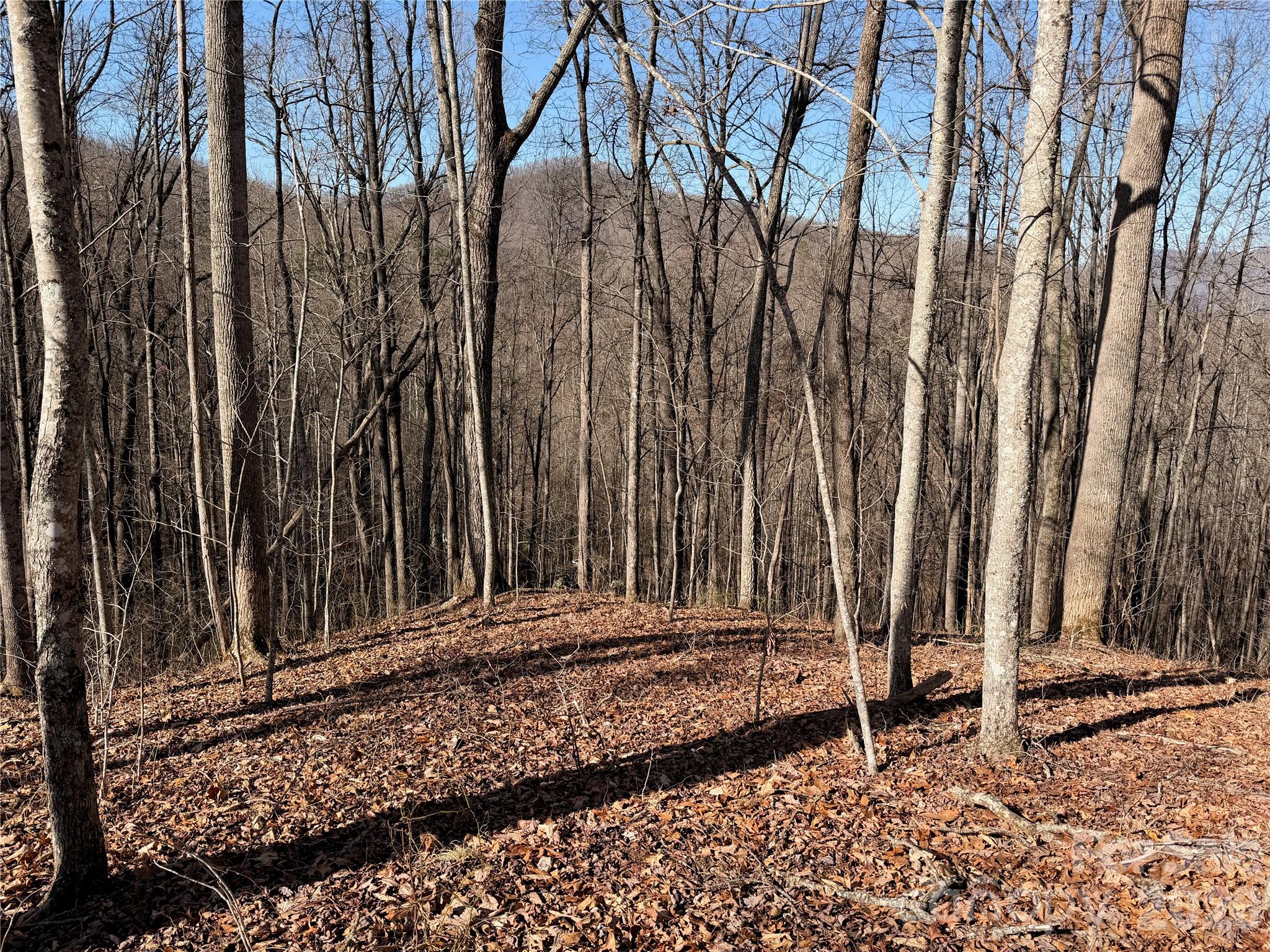 0 Posey Blanton Road Sylva, NC 28779 - Photo 5 of 7 a view of a backyard with of the house