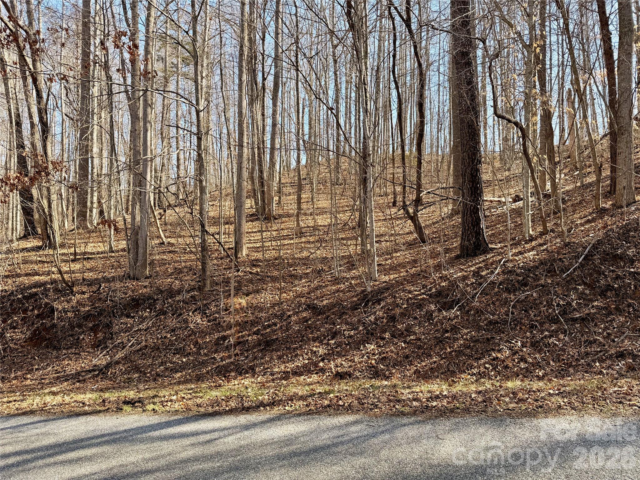 0 Posey Blanton Road Sylva, NC 28779 - Photo 6 of 7 a view of a backyard of the house