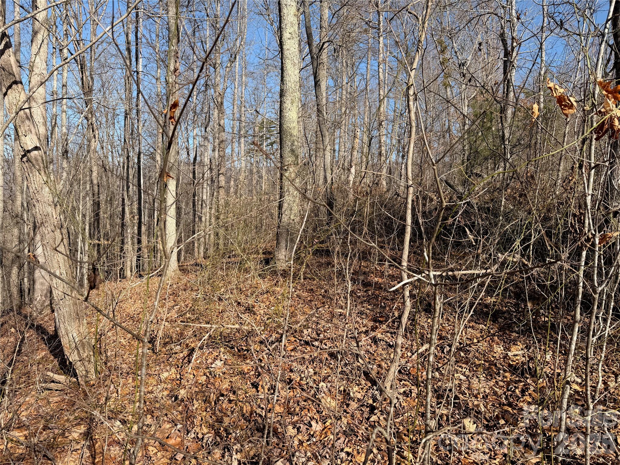 0 Posey Blanton Road Sylva, NC 28779 - Photo 7 of 7 a backyard of a house with lots of green space