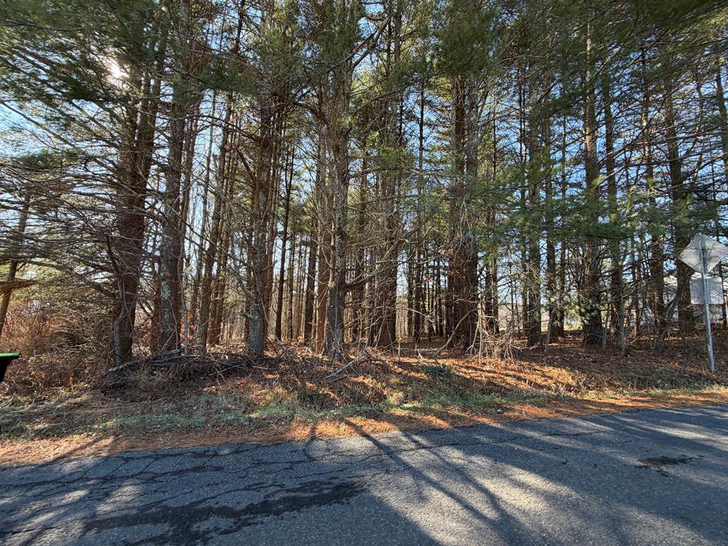 4306 Keno Road, Unit 6 Laurel Fork, VA 24352 - Photo 4 of 13 Gallery Image 4
