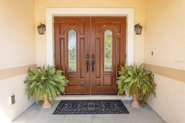 a view of a potted plants in front of a door