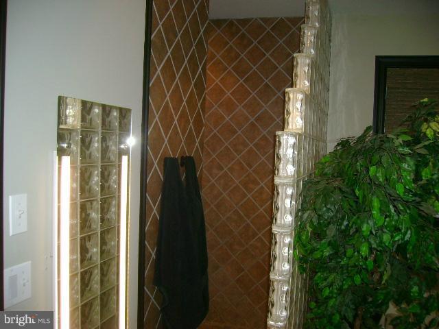 181 French Road Shenandoah Junction, WV 25442 - Photo 16 of 27 Shower entrance