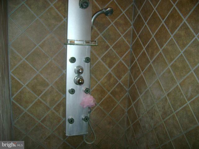 181 French Road Shenandoah Junction, WV 25442 - Photo 17 of 27 Power shower