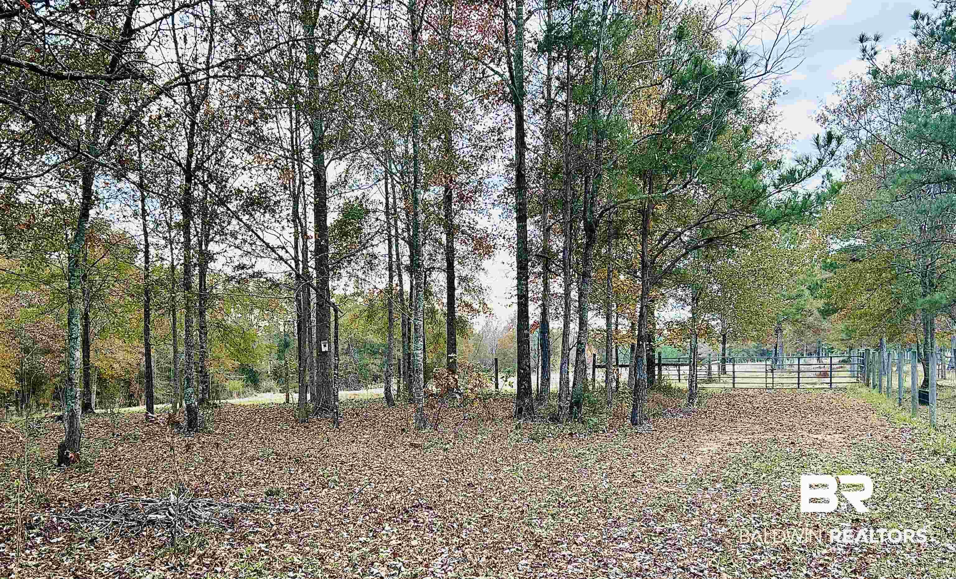 585 Dogwood Road Brewton, AL 36426 - Photo 1 of 3 View of yard