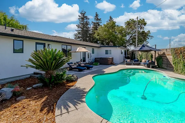 a view of a garden with large trees