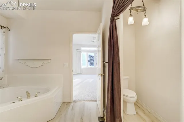 a bathroom with a bathtub and a toilet