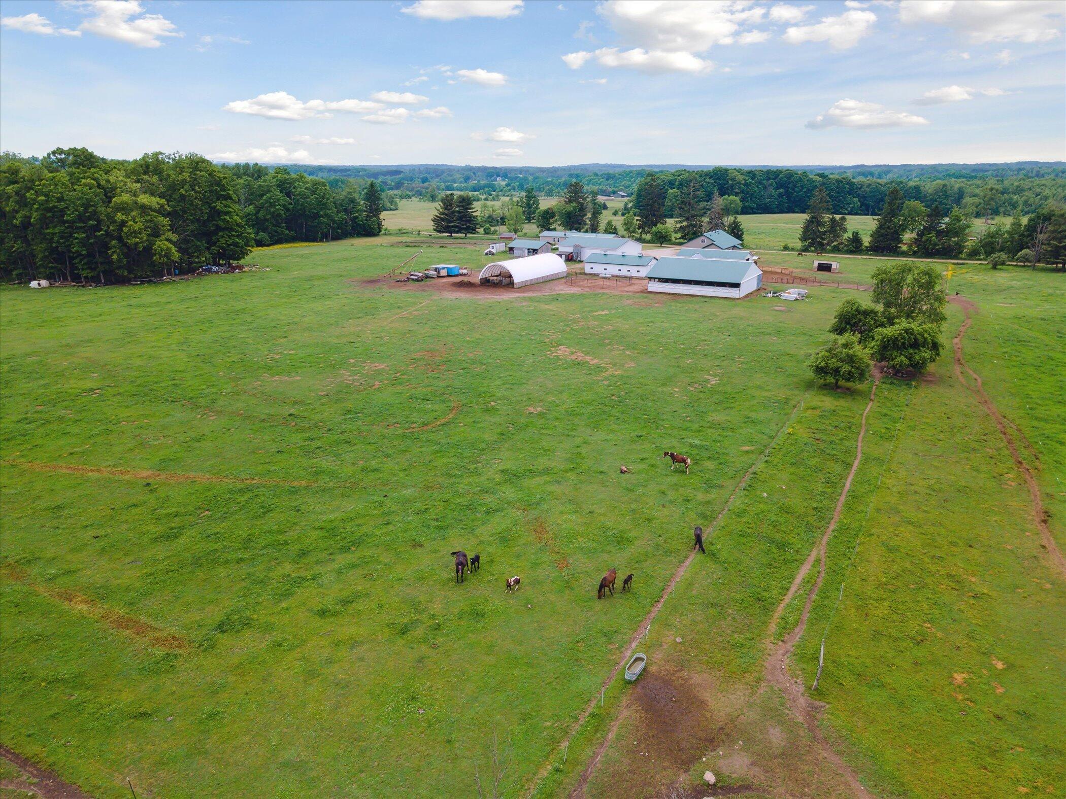 21576 Patterson Road, Unit OPTION B Tustin, MI 49688 - Photo 7 of 13 013-21576-Patterson-Rd-Tustin-MI-49688-W