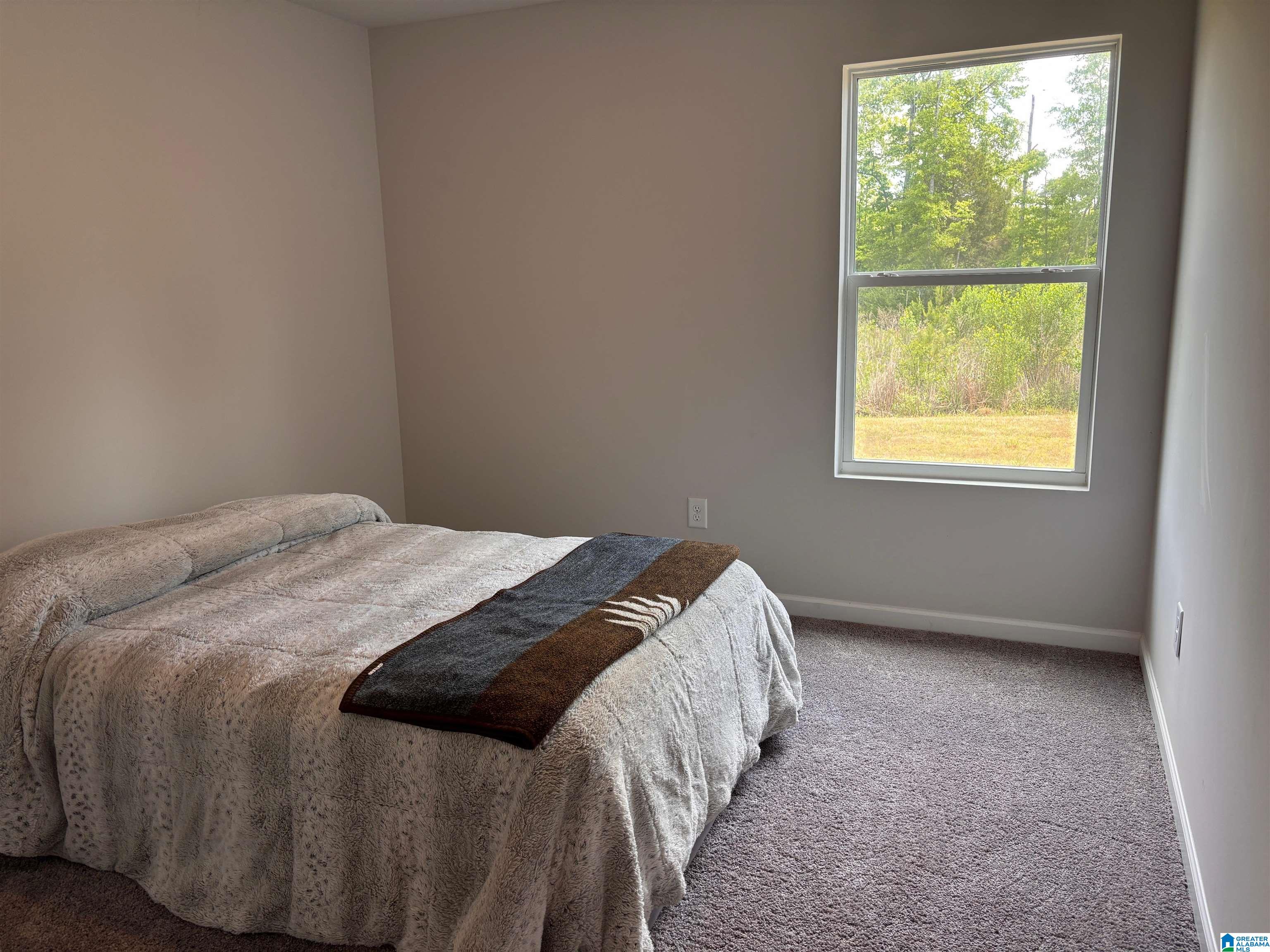 541 Camden Loop Calera, AL 35040 - Photo 11 of 22
