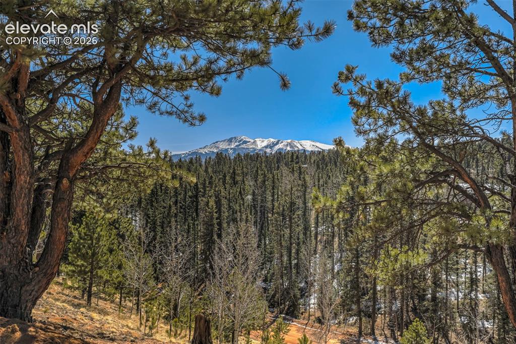 216 Ridge Road Divide, CO 80814 - Photo 4 of 47 Gallery Image 4