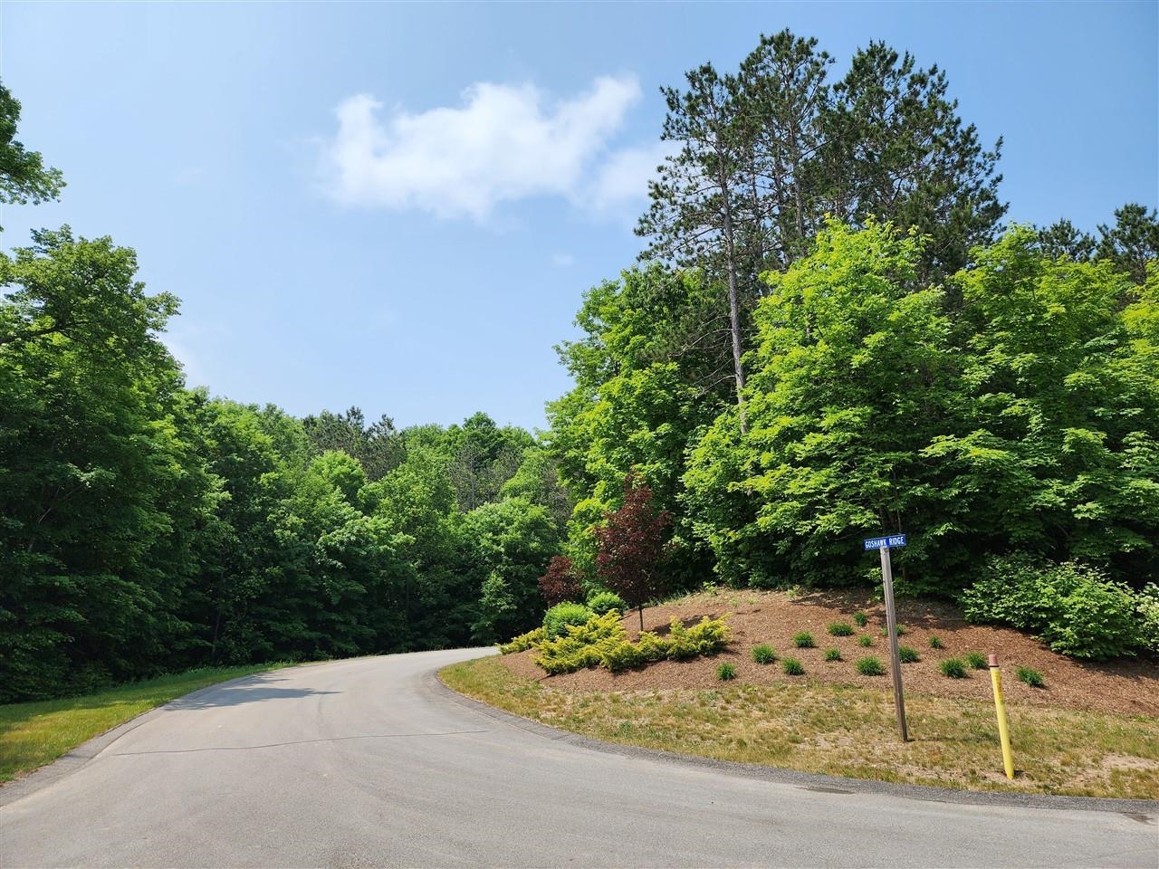 32 Goshawk Ridge Traverse City, MI 49684 - Photo 10 of 20