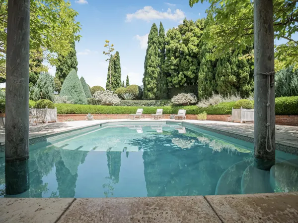 a view of a garden with plants