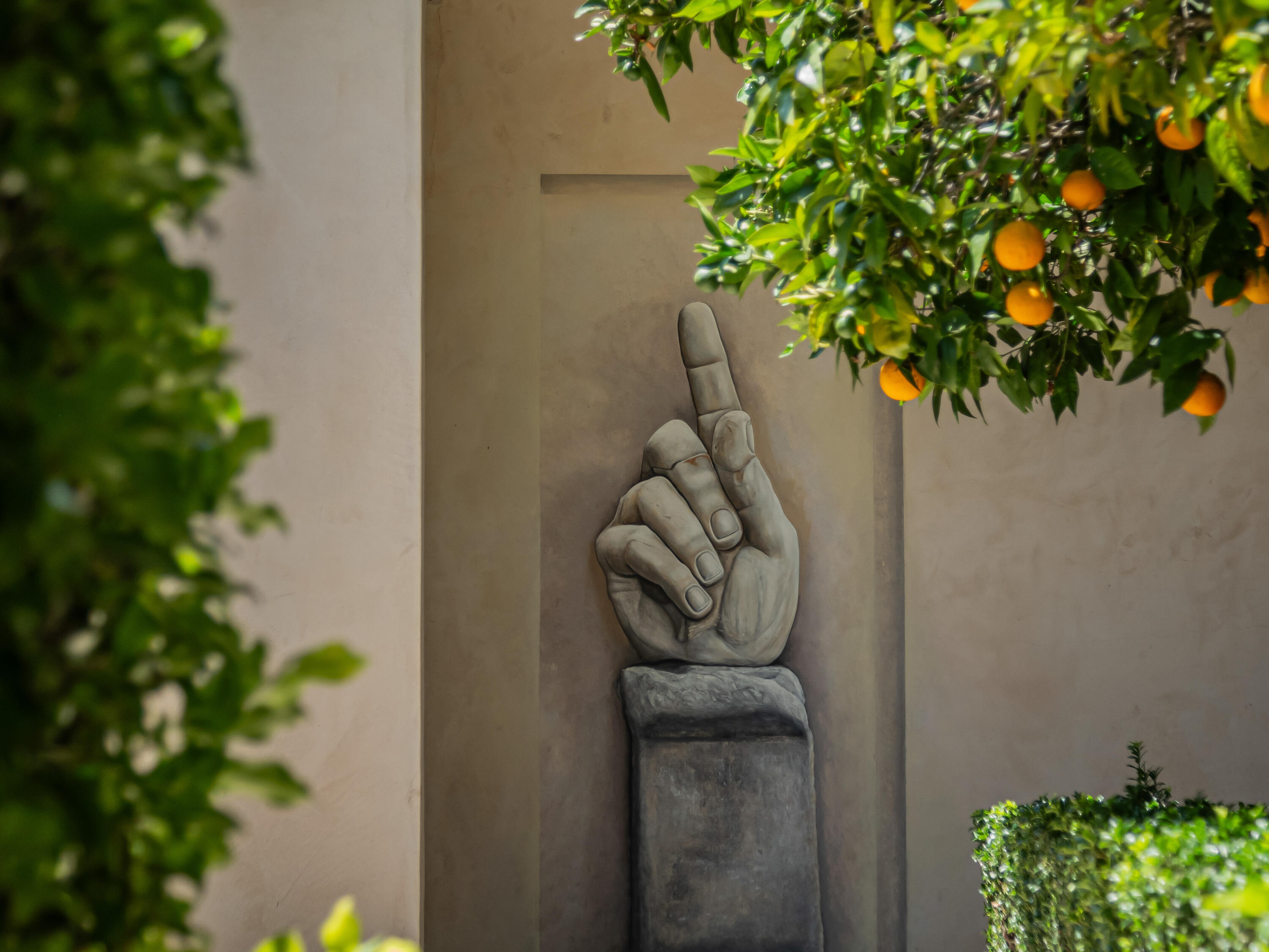 2072 China Flat Road Montecito, CA 93108 - Photo 19 of 41 a picture of plants