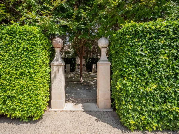 a view of a tree with a backyard