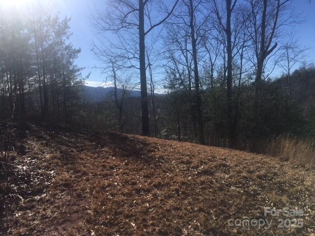 30 Mountain Parkway Mill Spring, NC 28756 - Photo 2 of 7 a backyard of a house with lots of green space
