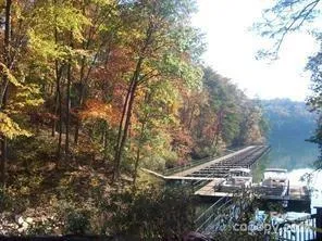 a view of forest