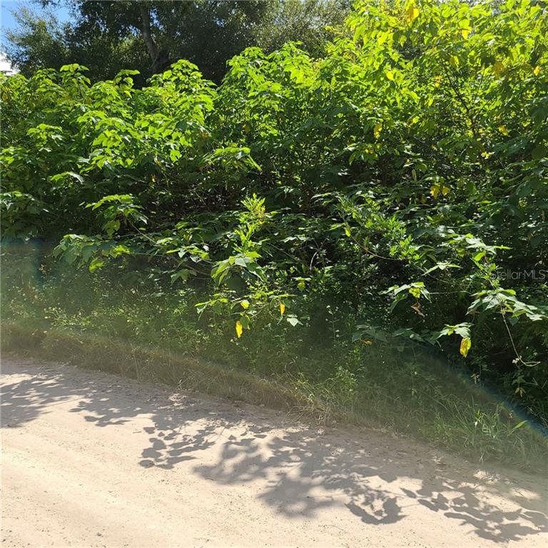 0 Southeast Campbell Road Belleview, FL 34420 - Photo 1 of 1 Vacant Lot needs to be cleared