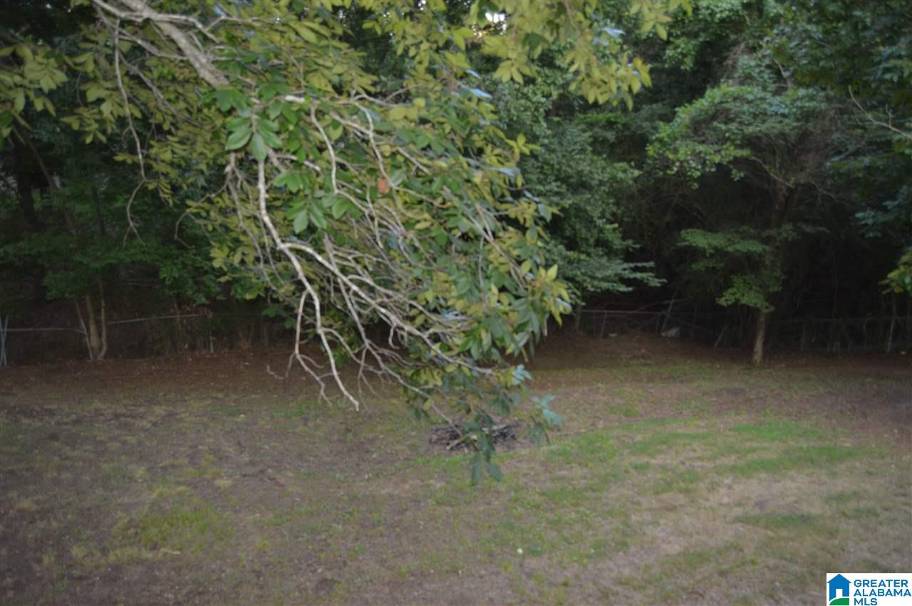 5261 Memory Lane Mount Olive, AL 35117 - Photo 8 of 29