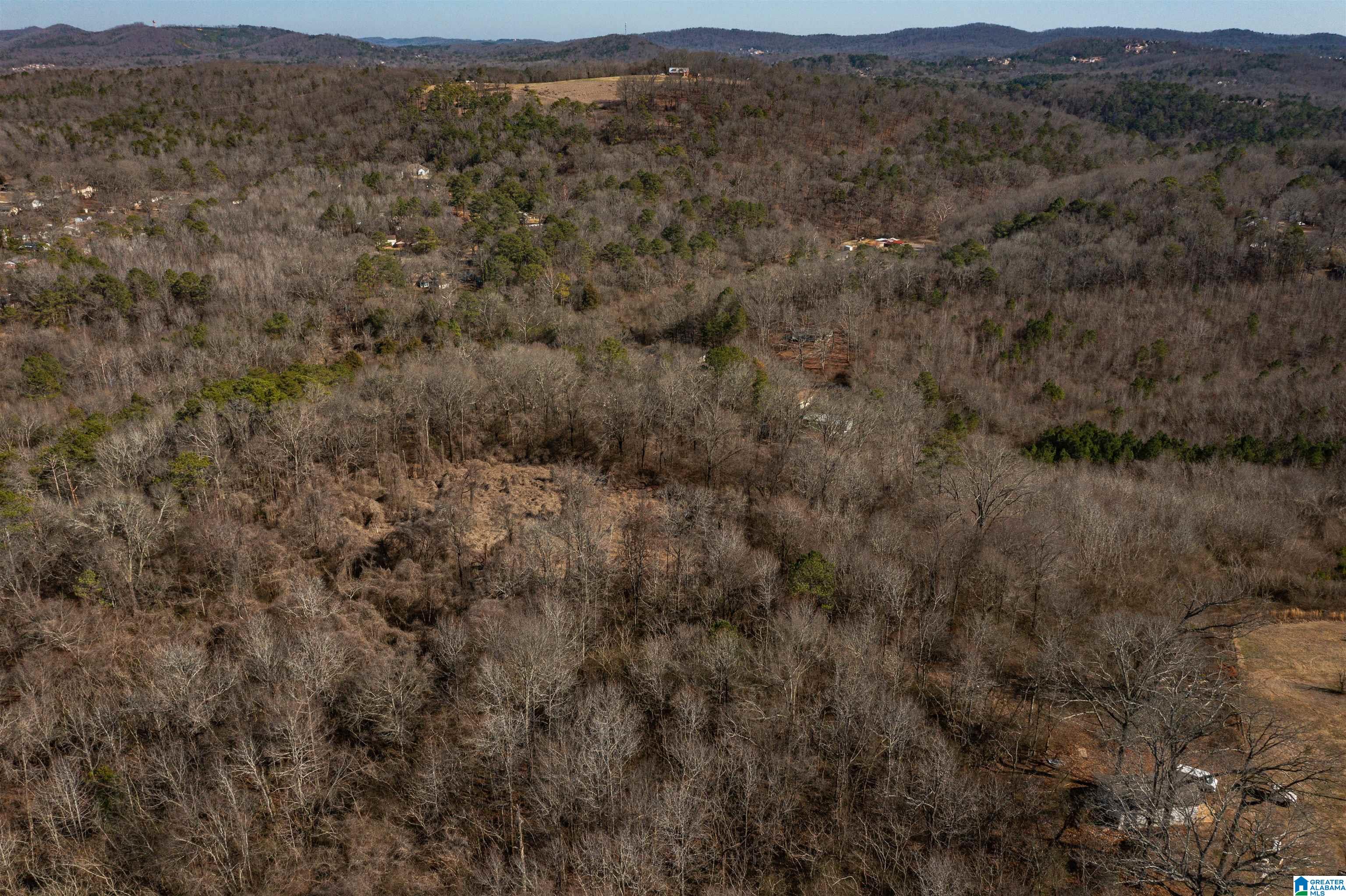 4392 Buzbee Road, Unit 1 Pinson, AL 35126 - Photo 9 of 27