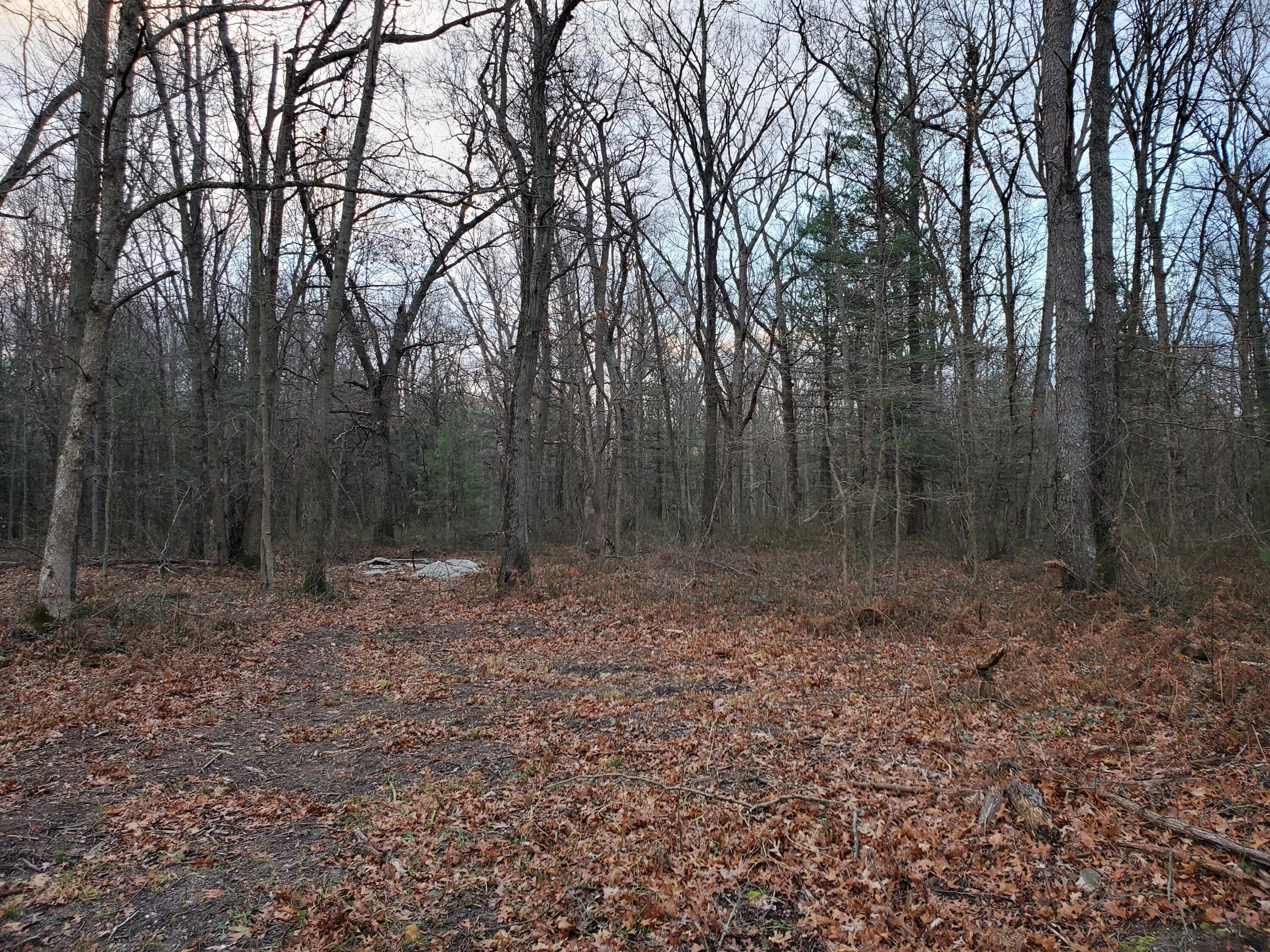 780 Brooks Road South Muskegon, MI 49442 - Photo 6 of 7 20211219_163557