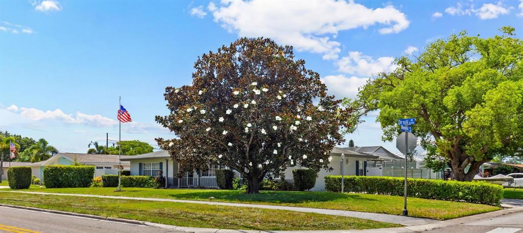 2087 Druid Road Clearwater, FL 33764 - Photo 40 of 46