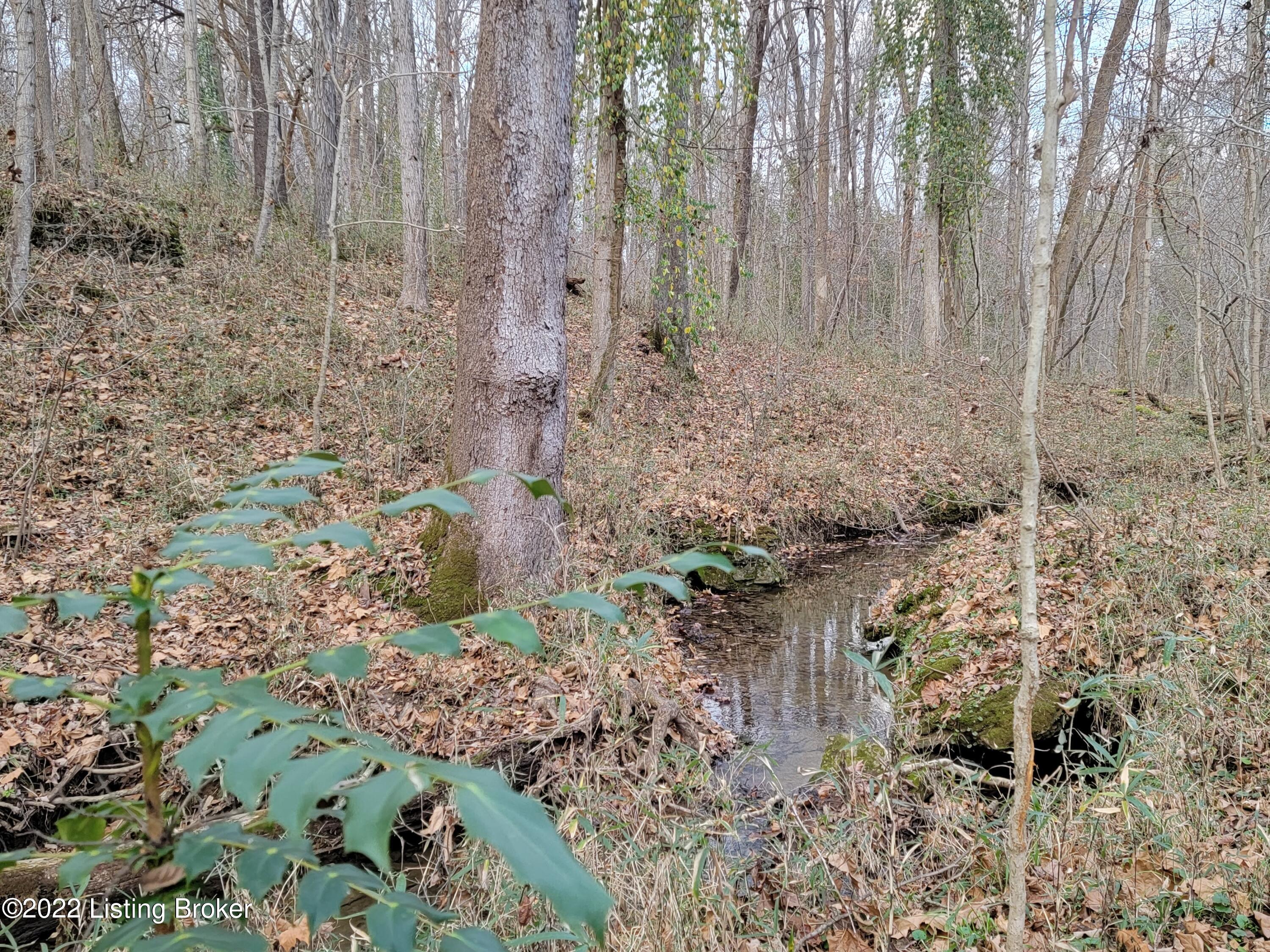 8010 Wolf Pen Branch Road Prospect, KY 40059 - Photo 18 of 34 Small creek runs through the property.