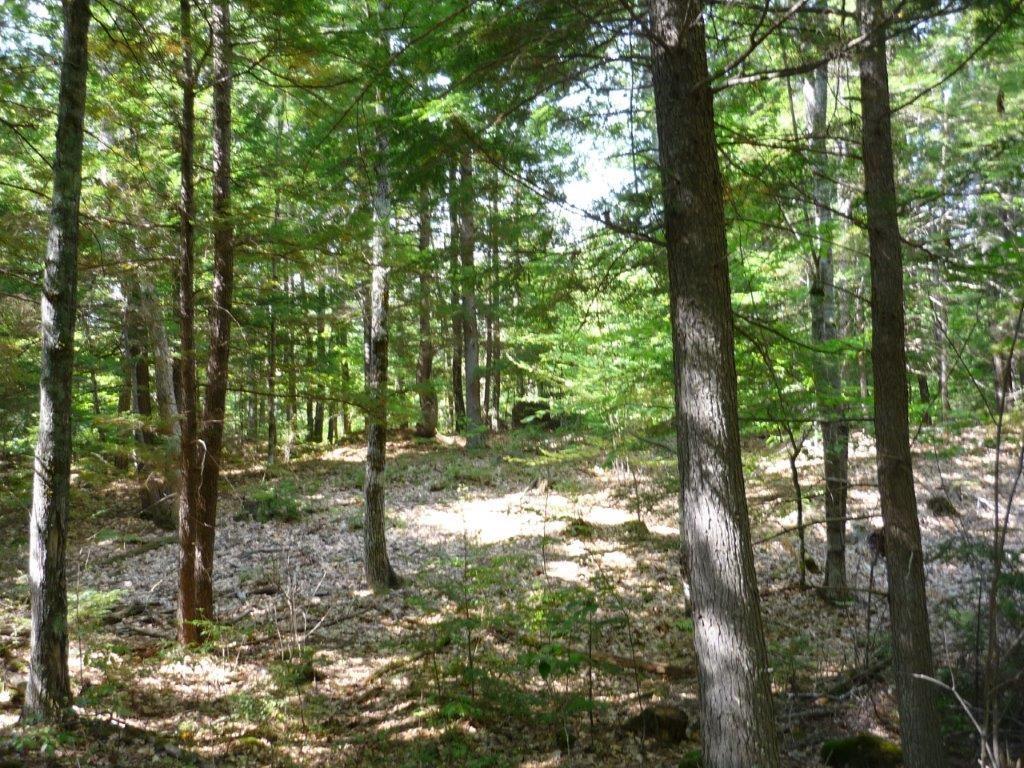 0 Cable Bridge Road Alfred, ME 04002 - Photo 3 of 10 Photo
