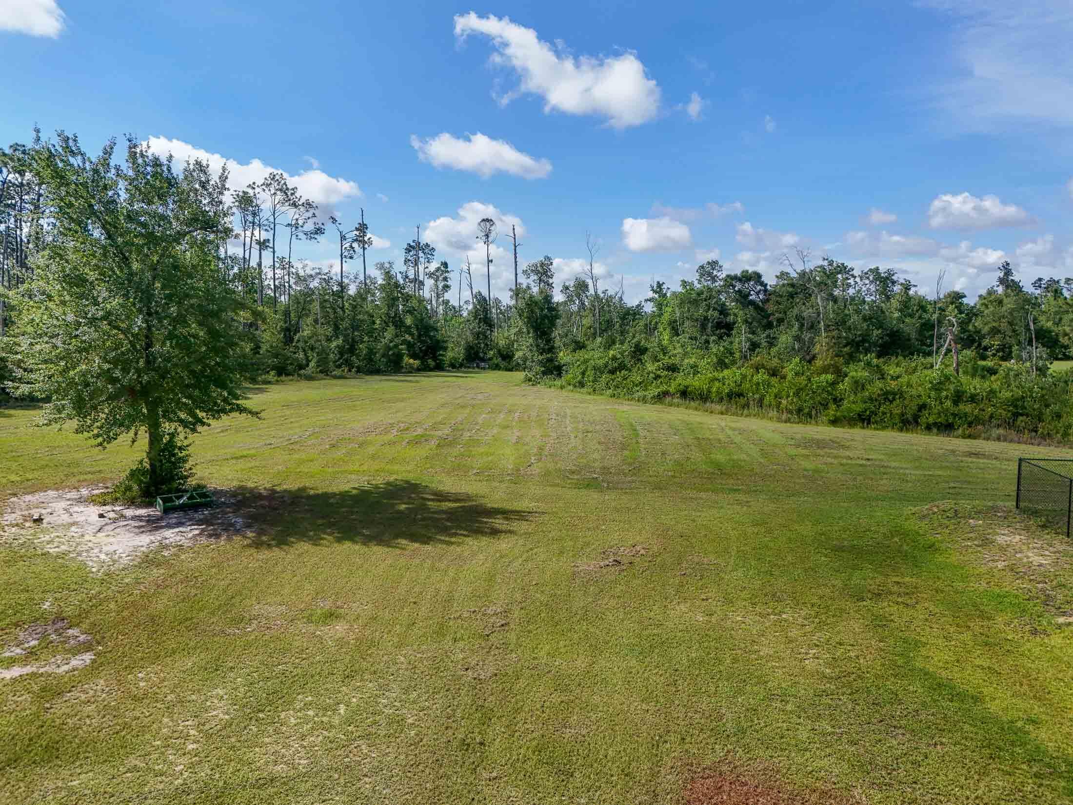2750 Edwards Road Southport, FL 32409 - Photo 6 of 60 a view of a big yard with large trees
