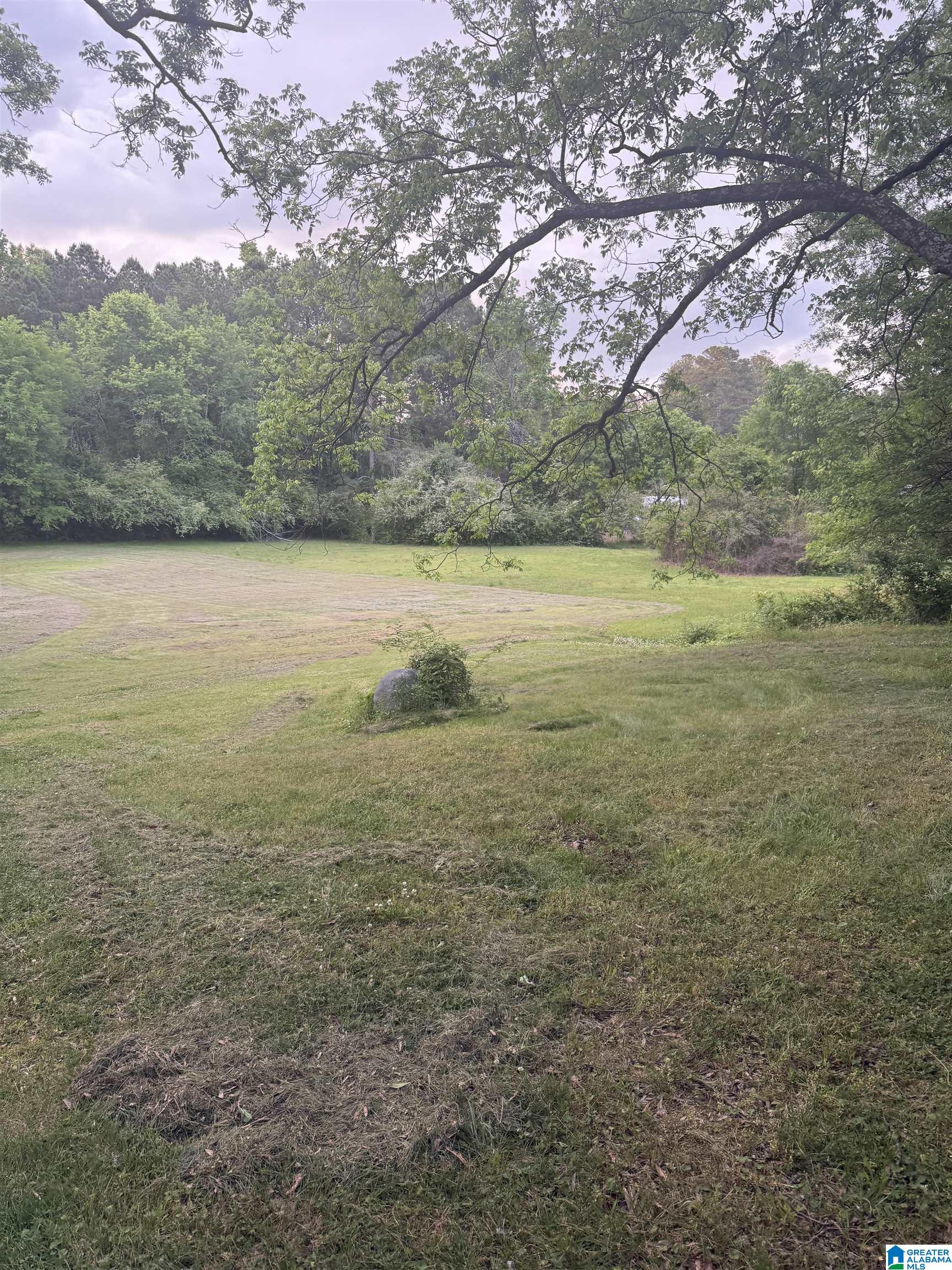 185 Grogan Road Anniston, AL 36201 - Photo 9 of 13 Gallery Image 9