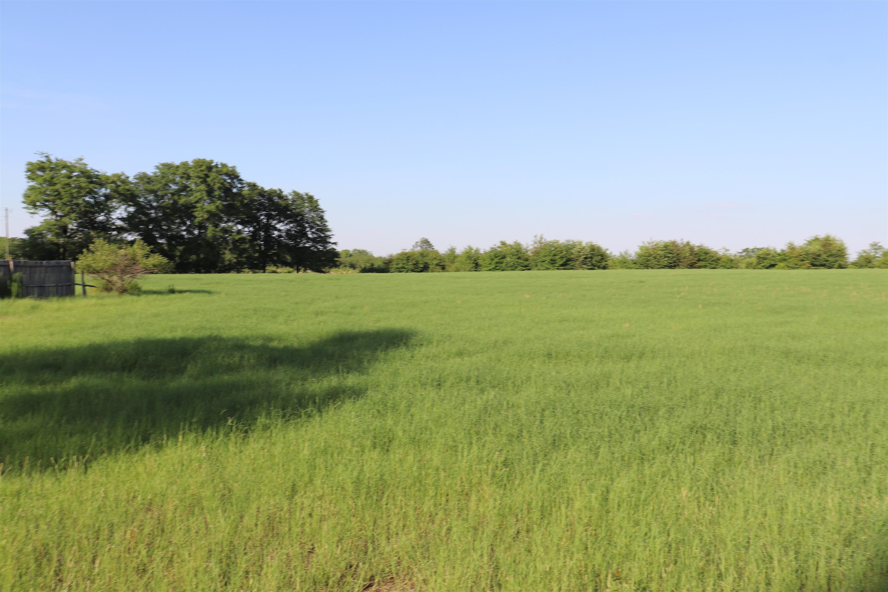 2631 Charlie Johnson Road Bethune, SC 29009 - Photo 12 of 29