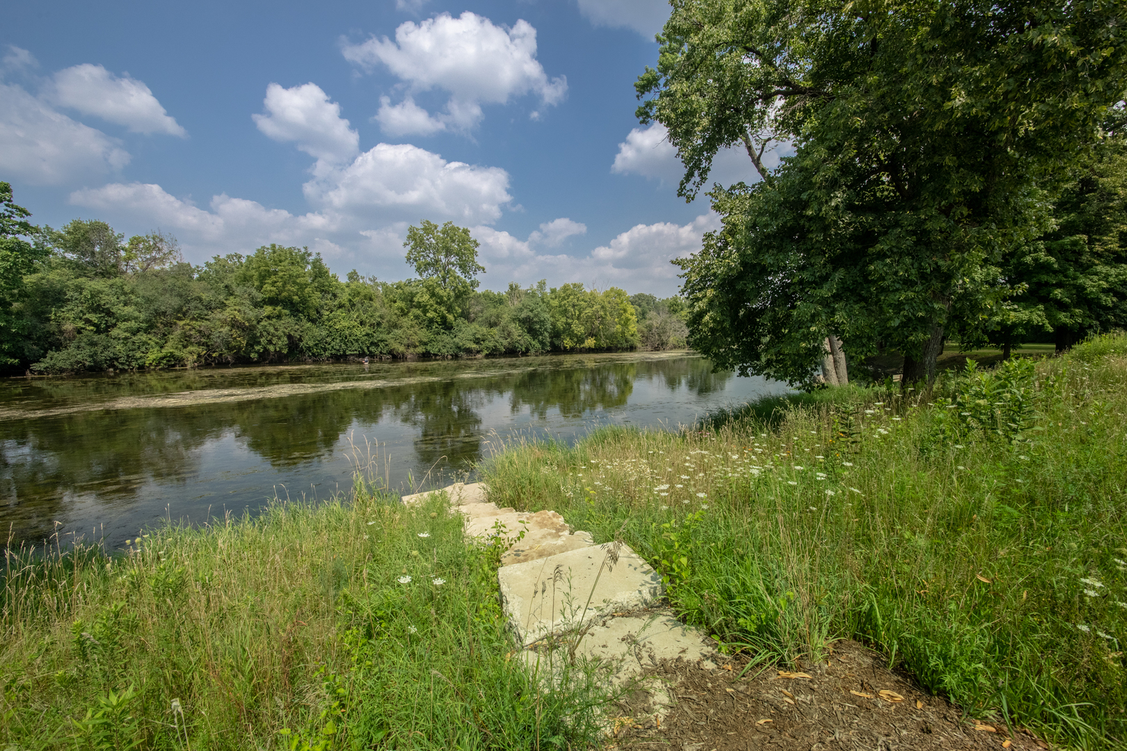 15717 South River Road Plainfield, IL 60544 - Photo 19 of 25 Gallery Image 19