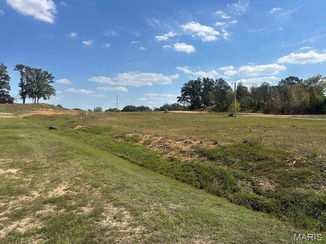 5-29 Wilcox Road Poplar Bluff, MO 63901 - Photo 2 of 11
