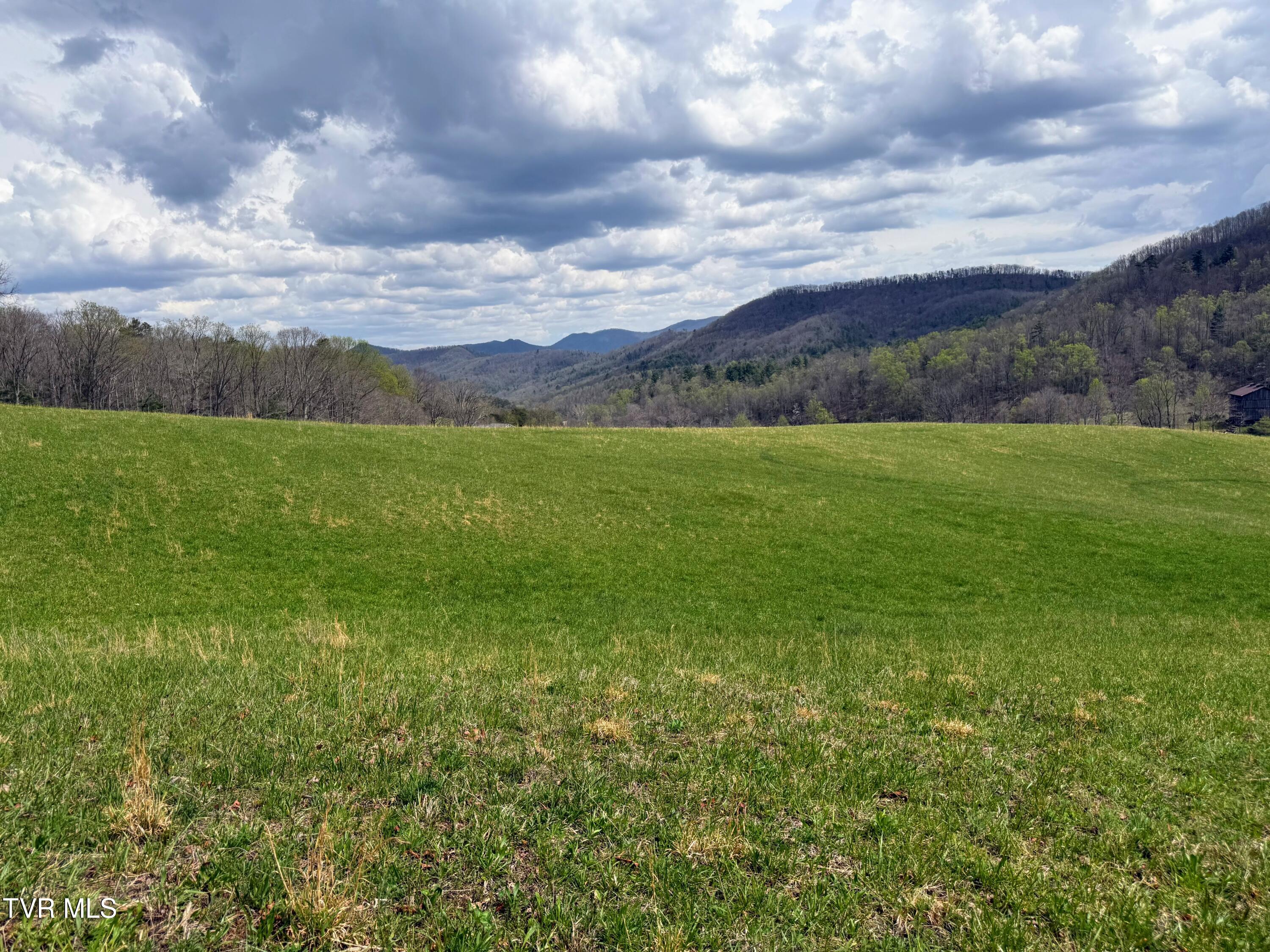 1a Rd Greeneville Tn 37743 Road Greeneville, TN 37743 - Photo 8 of 28 IMG_007