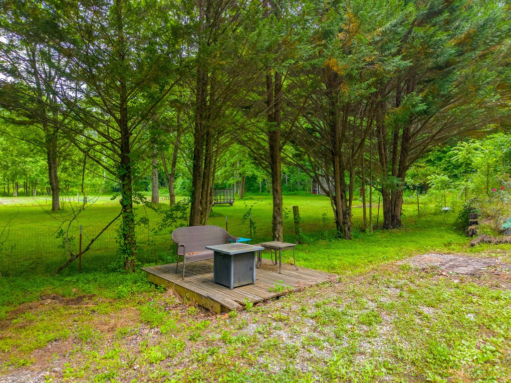224 Cochrans Cr Road Robbinsville, NC 28771 - Photo 36 of 42