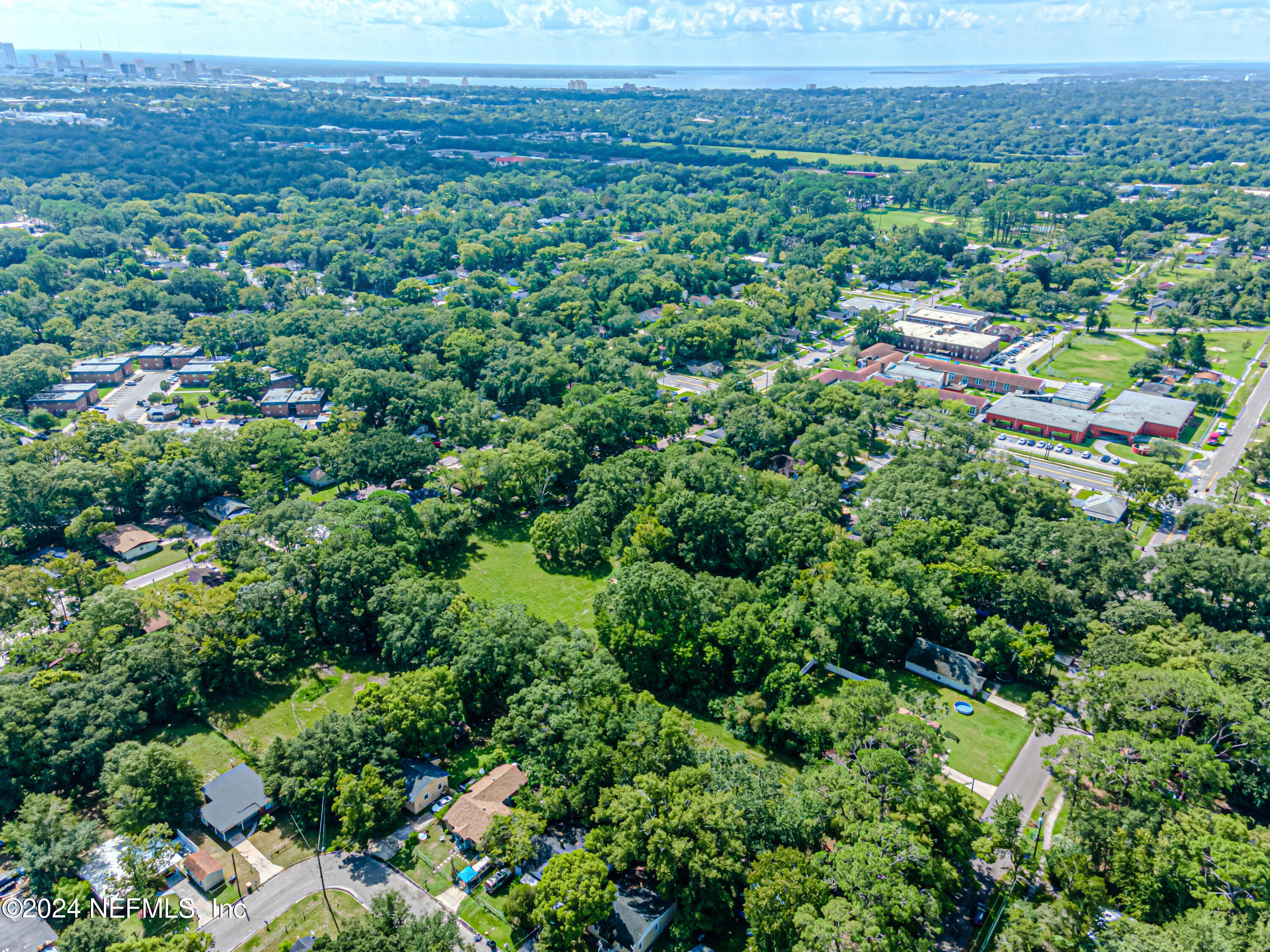 0 Detroit Street Jacksonville, FL 32254 - Photo 8 of 15 a view of a city with lush green forest