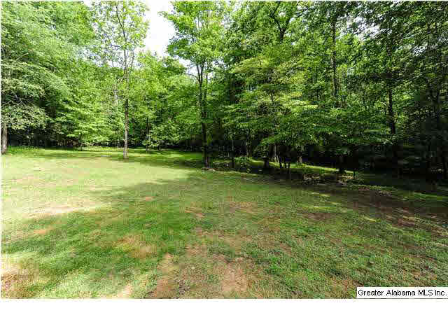 378 Shadow Stone Lane Oneonta, AL 35121 - Photo 22 of 22