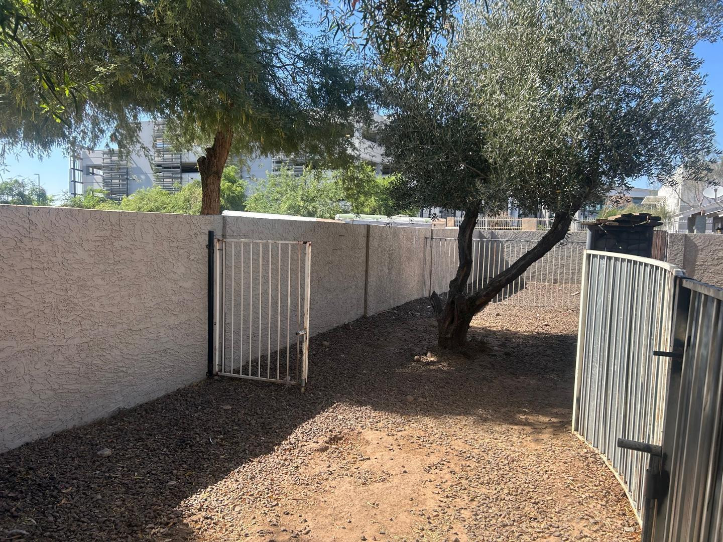 1320 West 3rd Street, Unit 2 Tempe, AZ 85281 - Photo 10 of 10 a view of a backyard with a tree