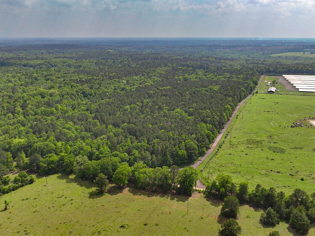 Tbd Kings Road San Augustine, TX 75972 - Photo 5 of 11