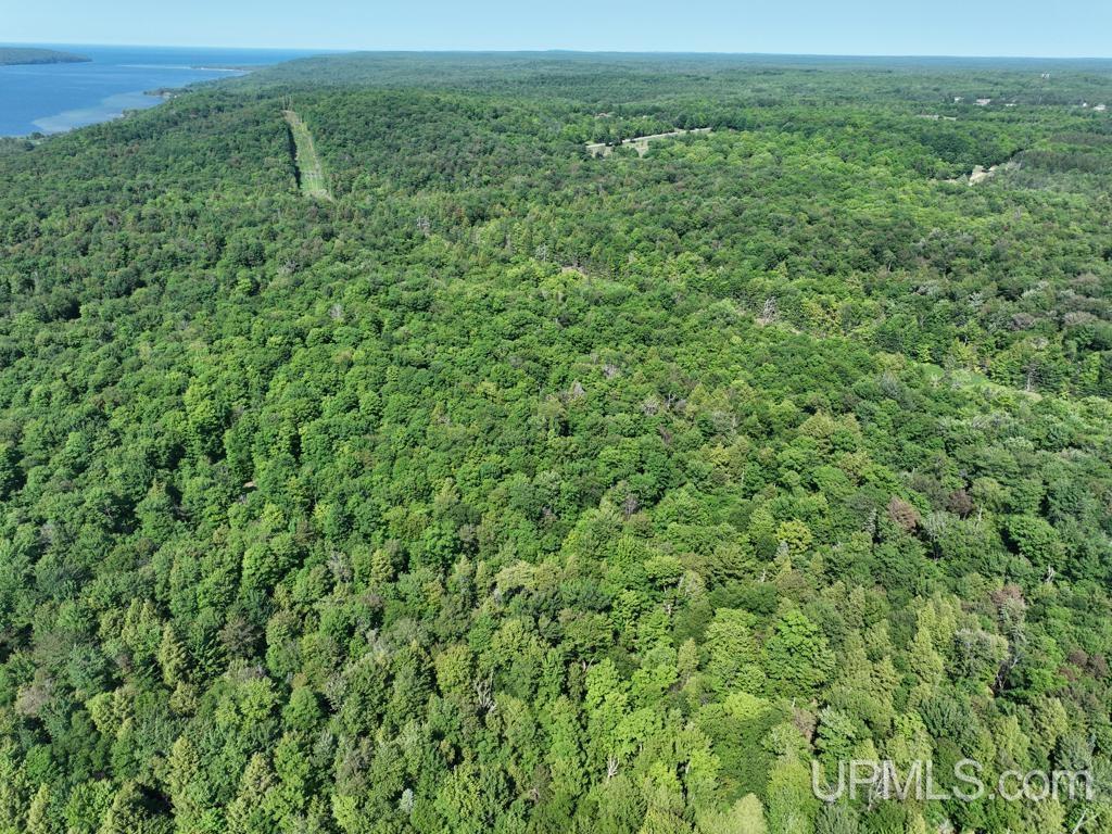 0 Cemetery Road Munising, MI 49862 - Photo 15 of 34 Gallery Image 15