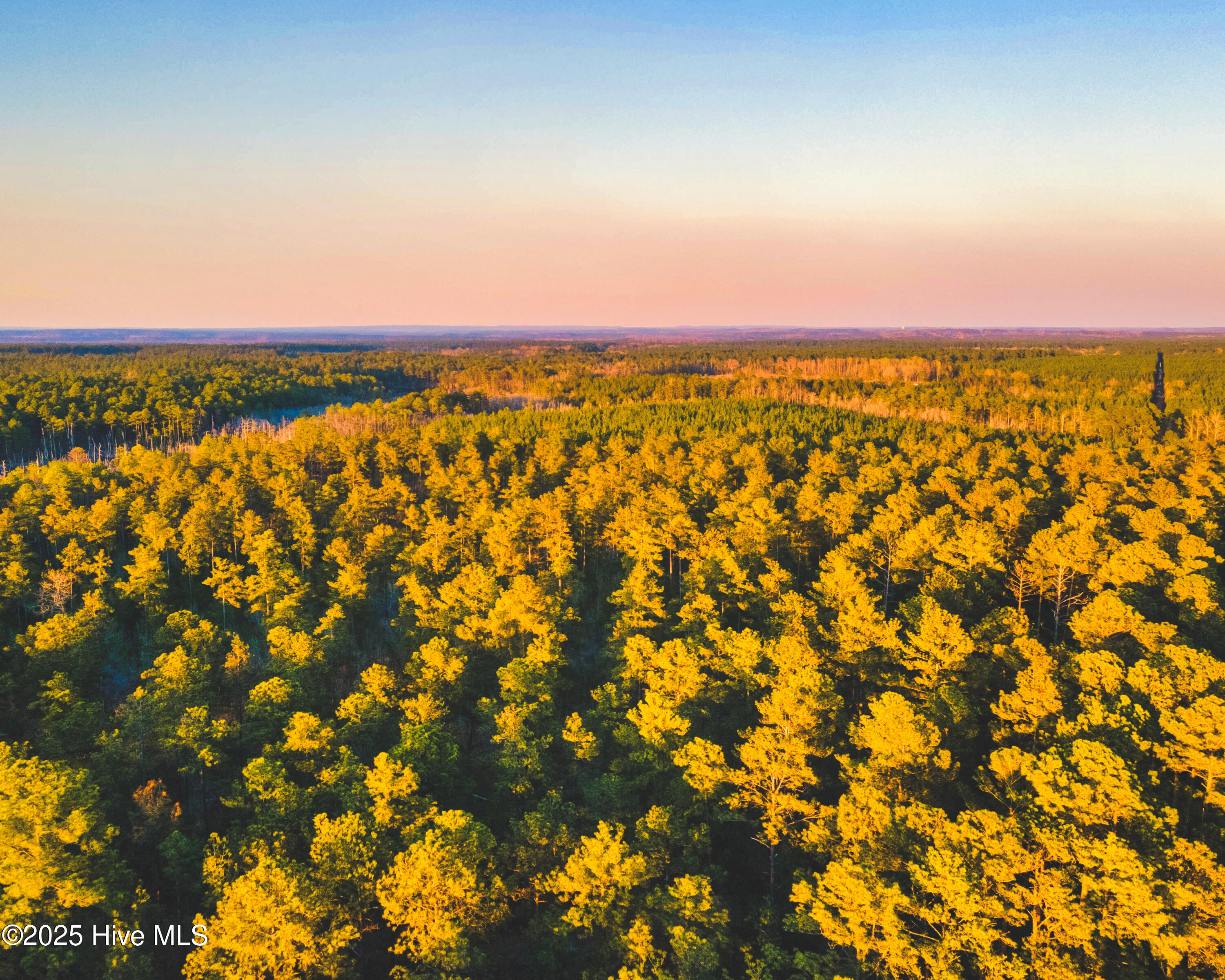 7 Peach Orchard Road Wagram, NC 28396 - Photo 4 of 4 DJI_0874-HDR-Pano